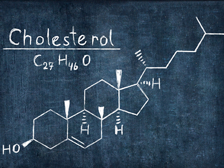 Cholesterol, Just the Fats!